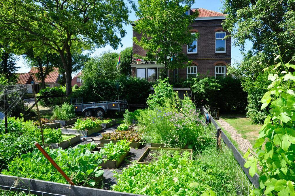 B&B De Postoari Terschelling Hoorn  Ngoại thất bức ảnh