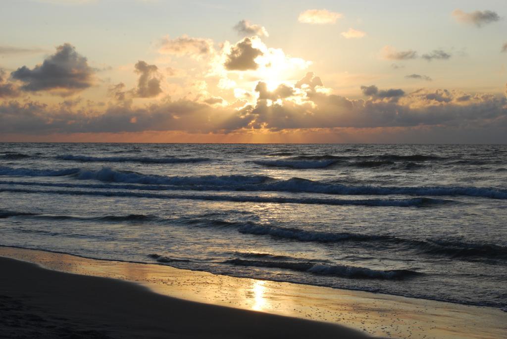 B&B De Postoari Terschelling Hoorn  Ngoại thất bức ảnh